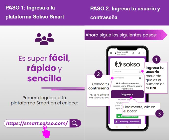 pasito 1